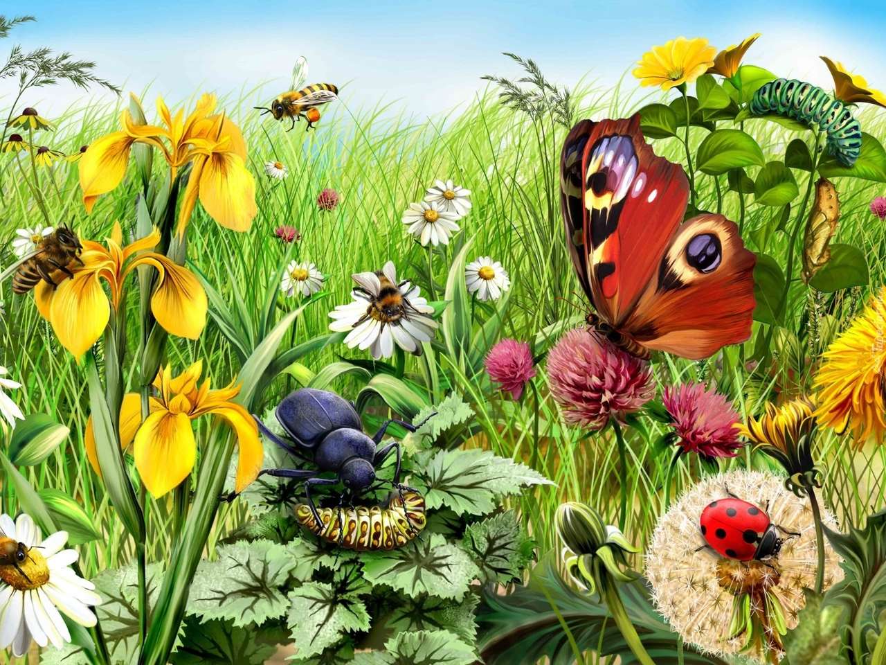 insects in the meadow online puzzle