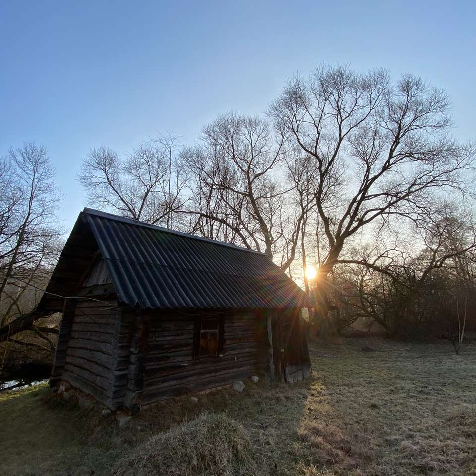 hnědý dřevěný dům poblíž holých stromů při západu slunce skládačky online