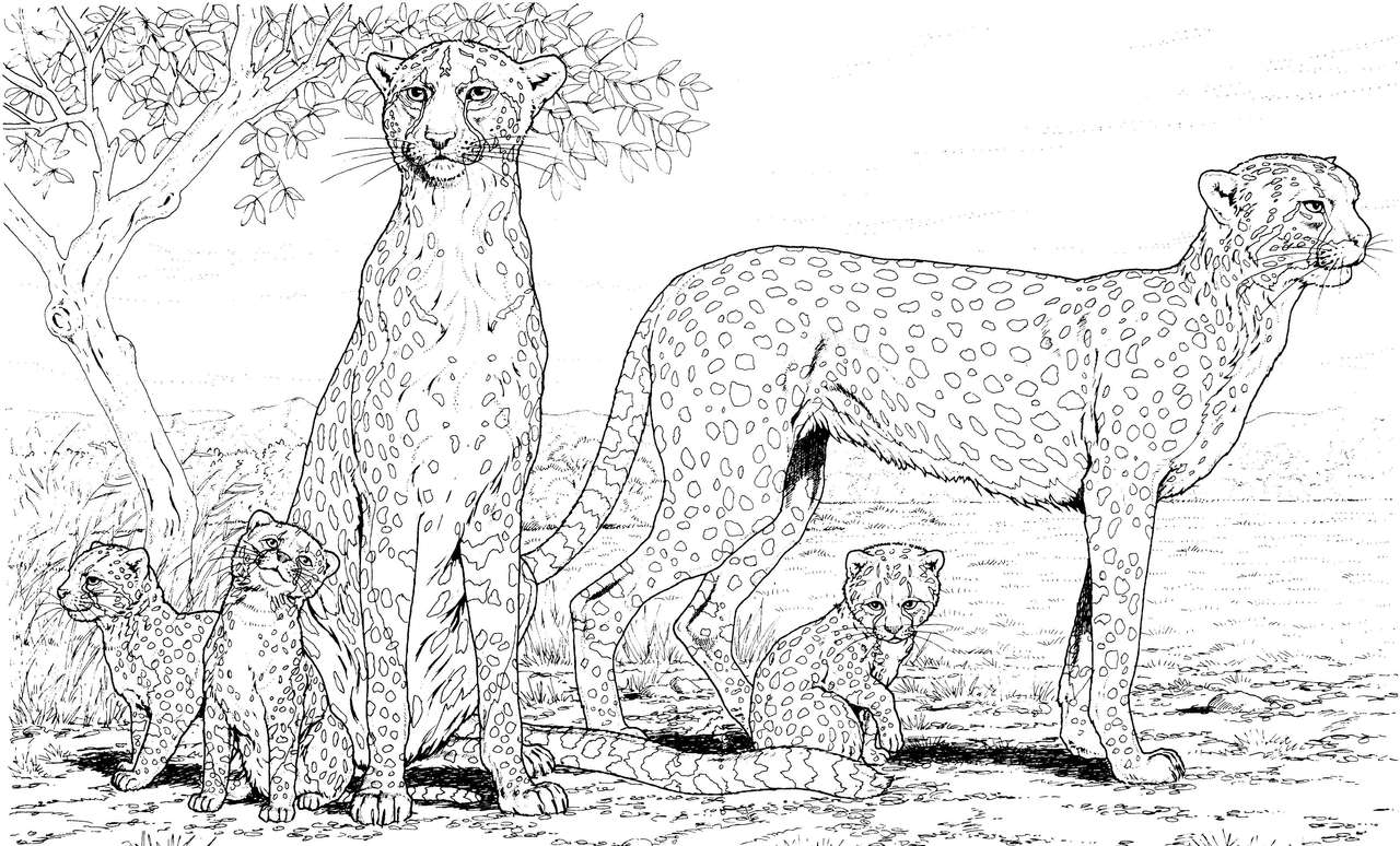 Los 5 guepardos rompecabezas en línea