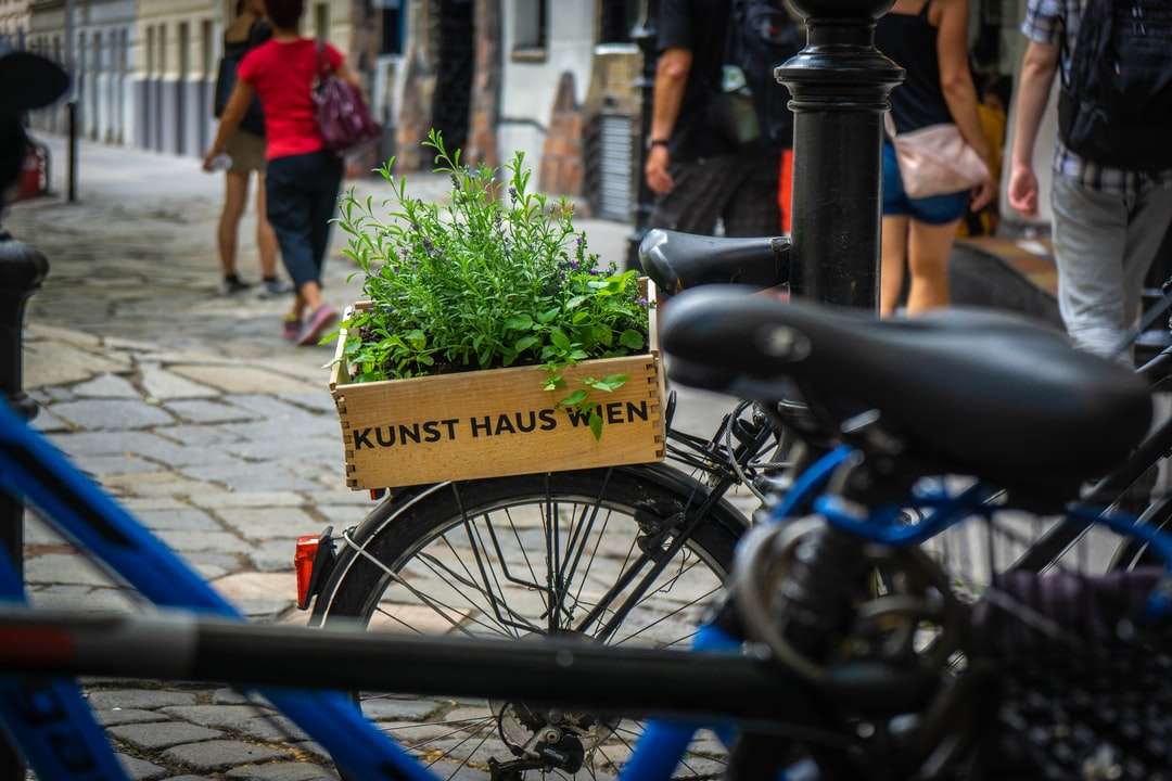 зелени листни растения на пътуващ велосипед онлайн пъзел