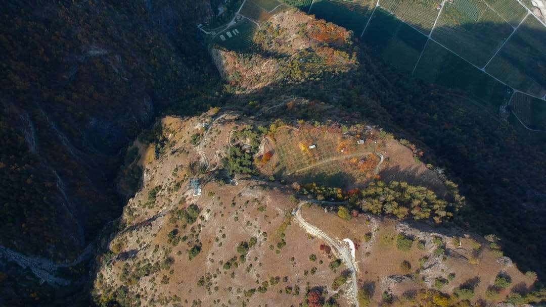 въздушен изглед на зелена и кафява земя онлайн пъзел