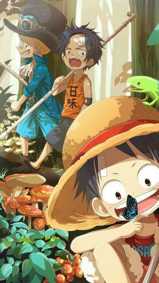 Ace Sabo Luffy online puzzle