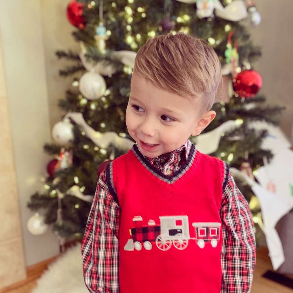 boy in red and white plaid dress shirt online puzzle