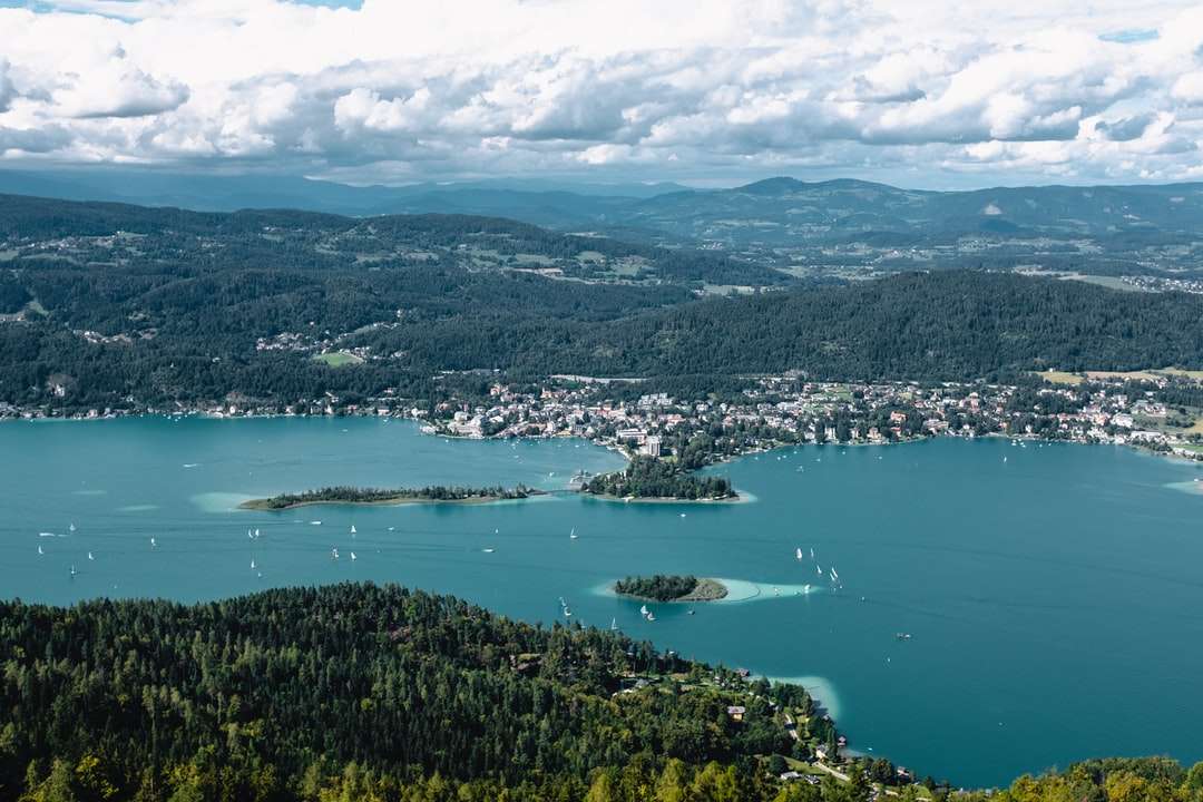 vista aérea da cidade perto do corpo d'água durante o dia puzzle online