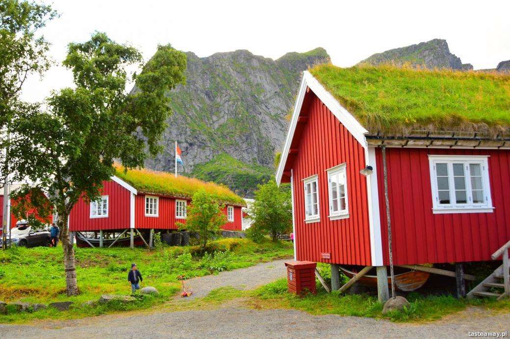 Häuser in Norwegen mit Moos bedeckt Online-Puzzle