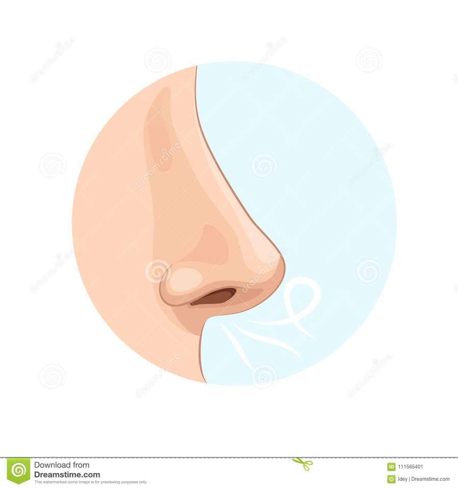 Upptäck bilden: näsan pussel på nätet