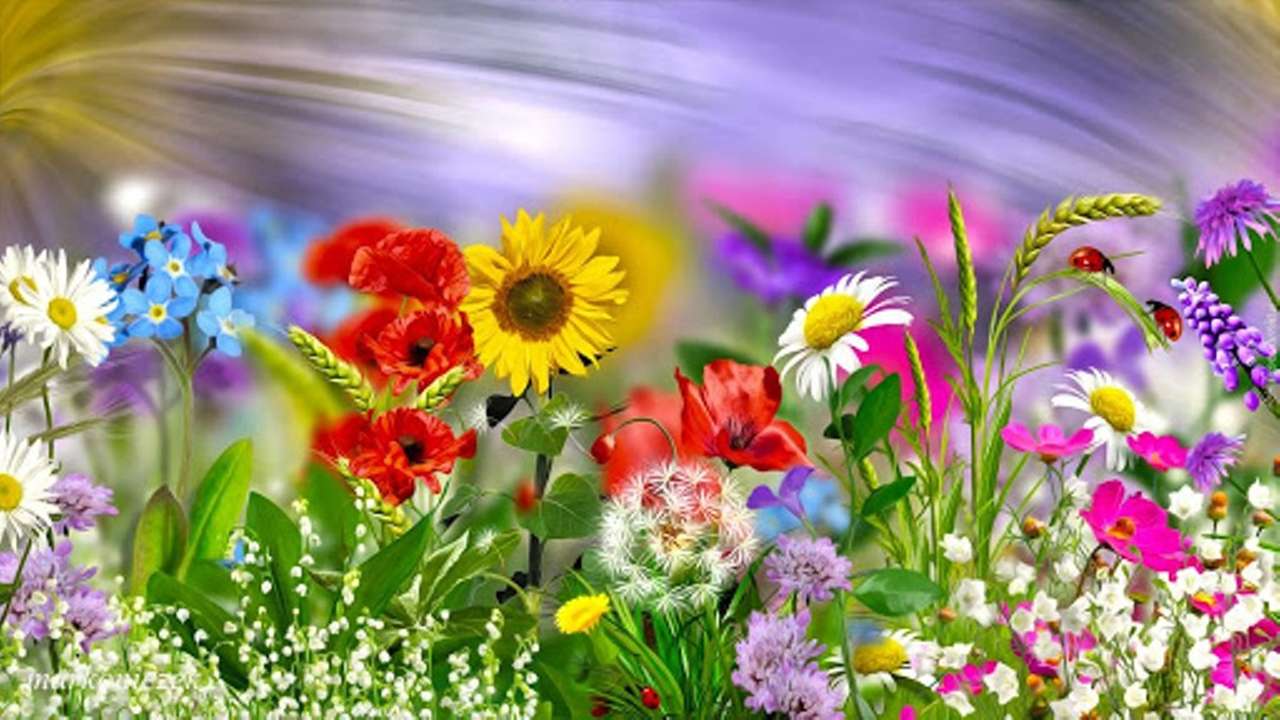 květinová louka skládačky online