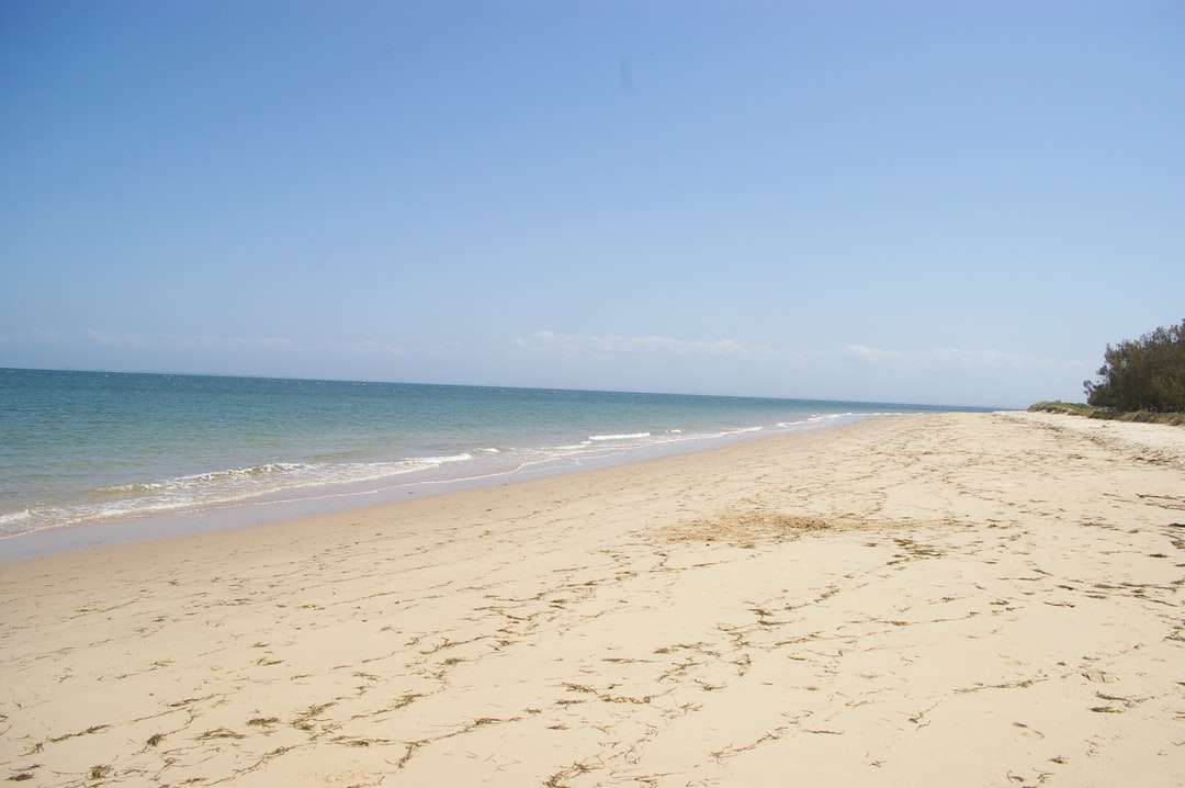 landskap foto av stranden Pussel online