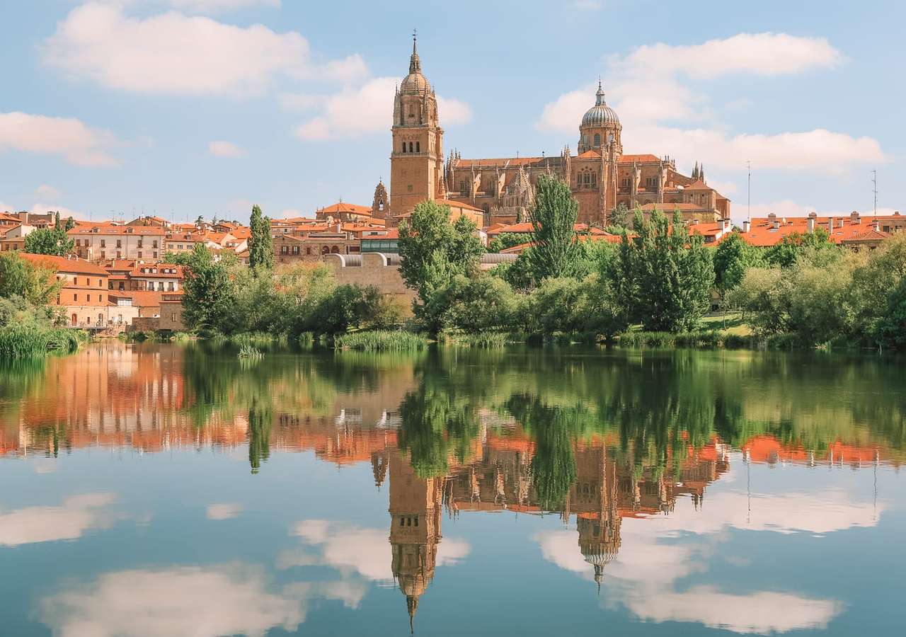 Vista di Salamanca sulla cattedrale puzzle online