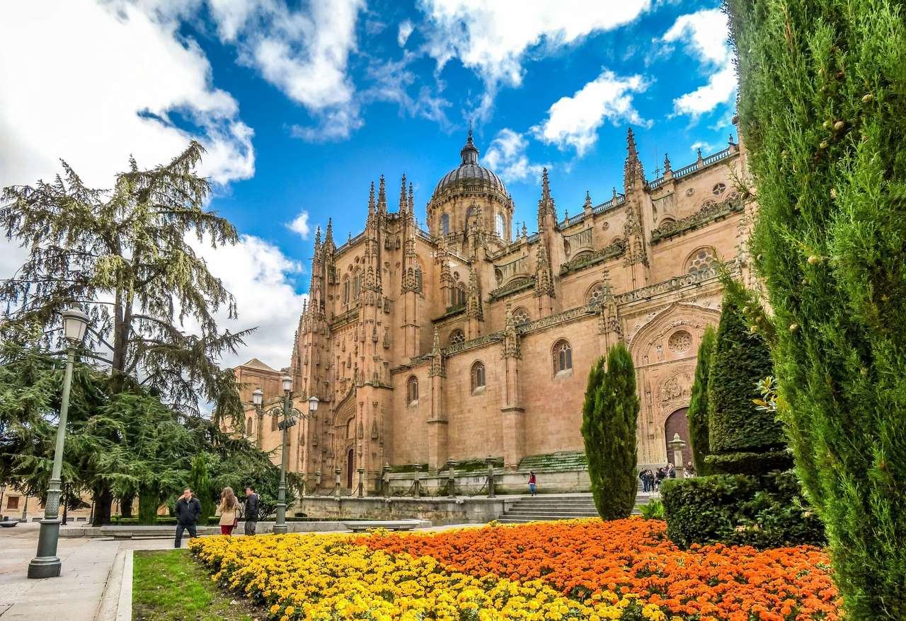 Utsikt över Salamanca-katedralen Pussel online
