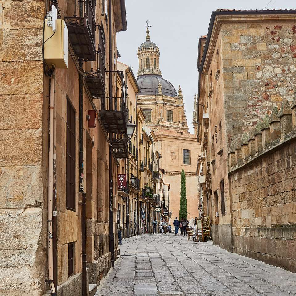 Salamanca sikt av domkyrkan pussel på nätet