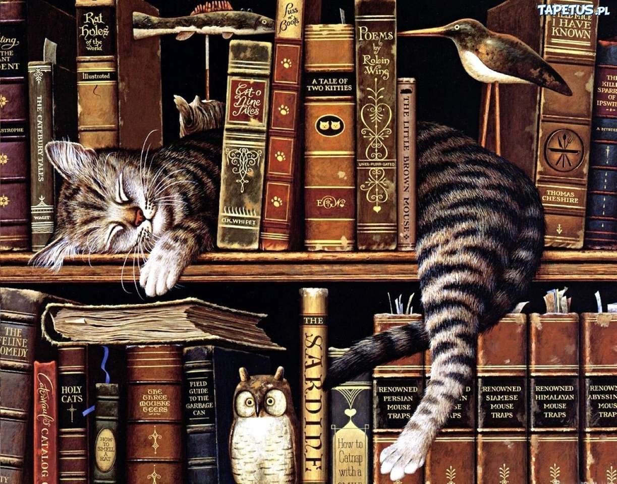 Котка на рафта с книги онлайн пъзел