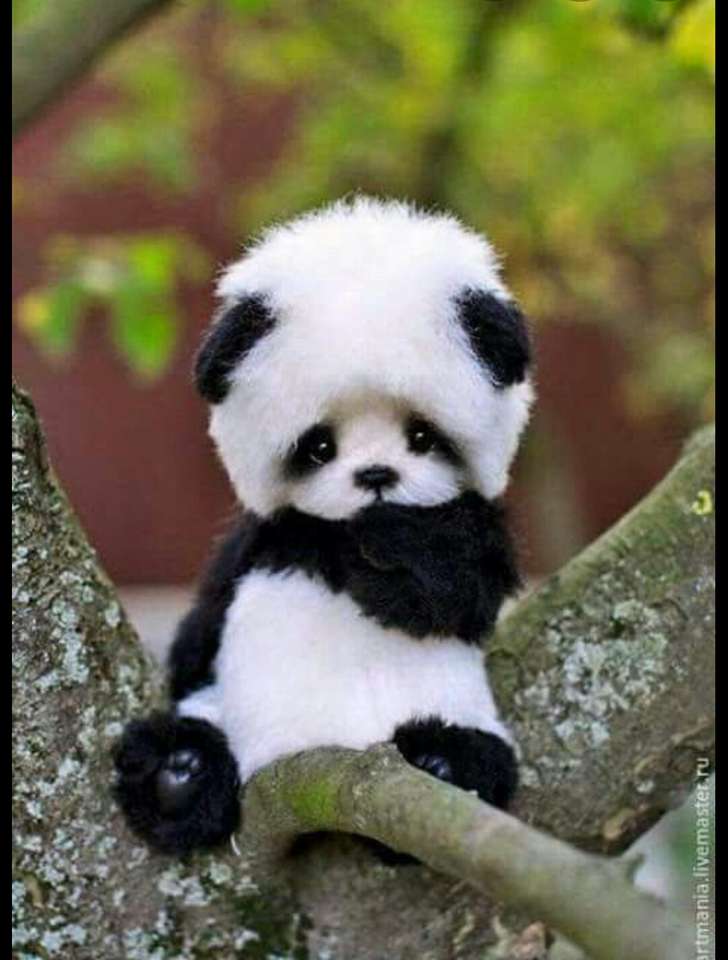 Χαριτωμένο panda online παζλ