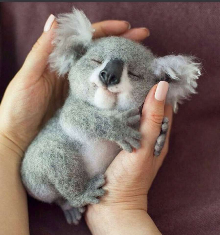 Söt baby Koala pussel på nätet