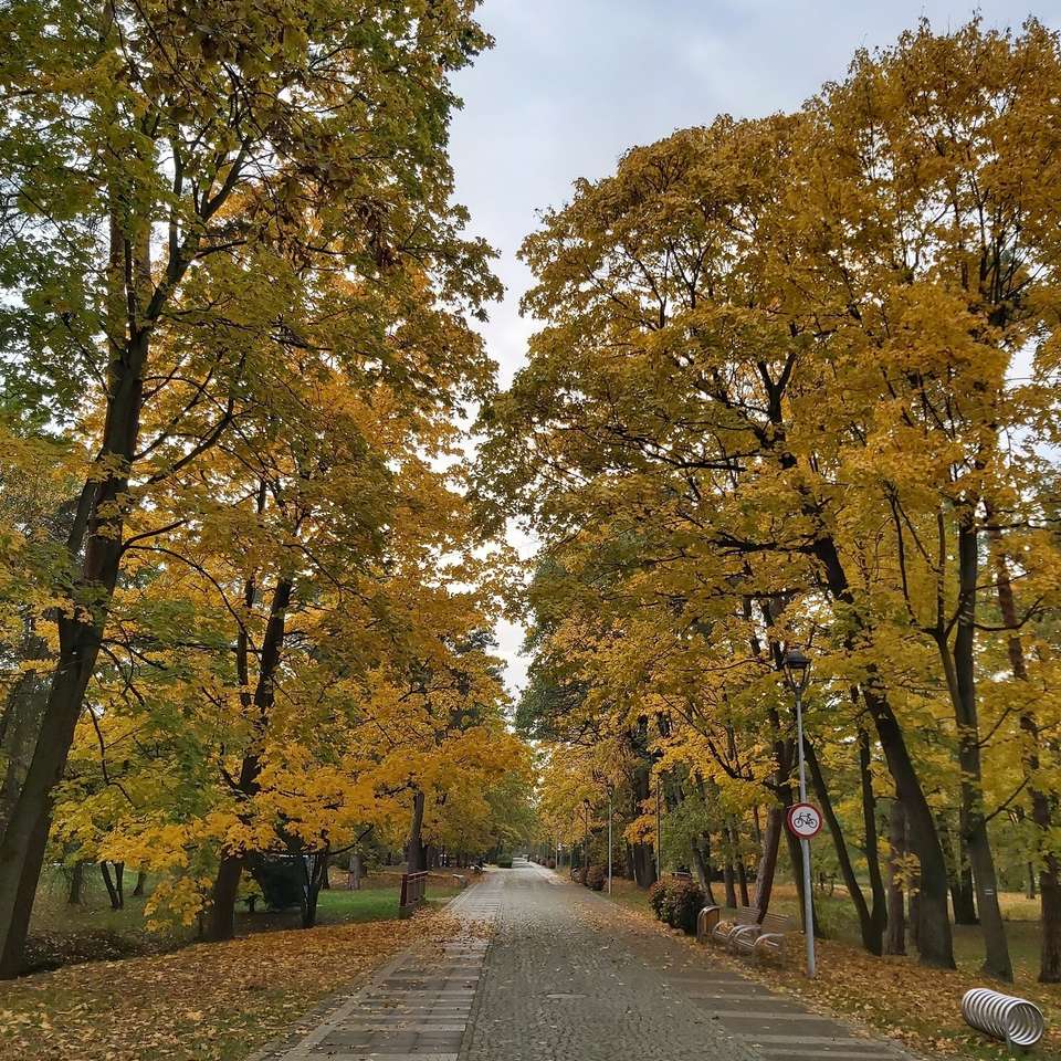 Podzimní lázeňský park online puzzle