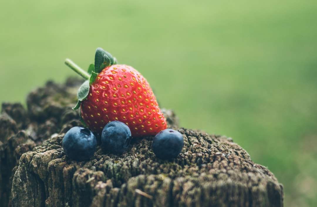 Erdbeere und drei Blaubeeren in Nahaufnahmefotografie Puzzlespiel online