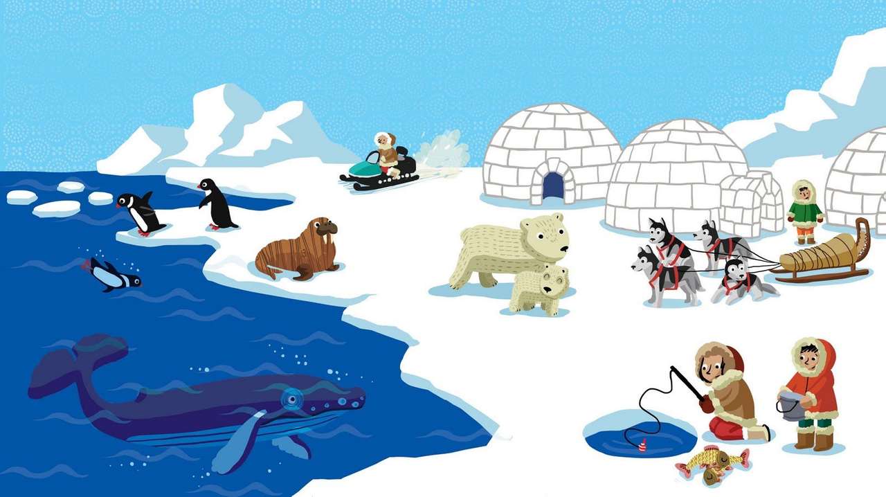 Nordpolen pussel på nätet