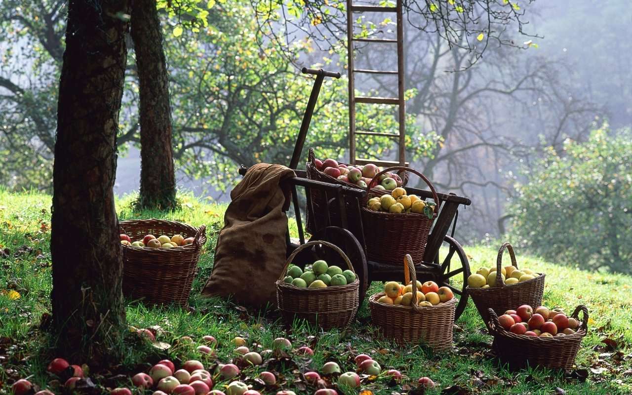 Ябълки в кошници онлайн пъзел