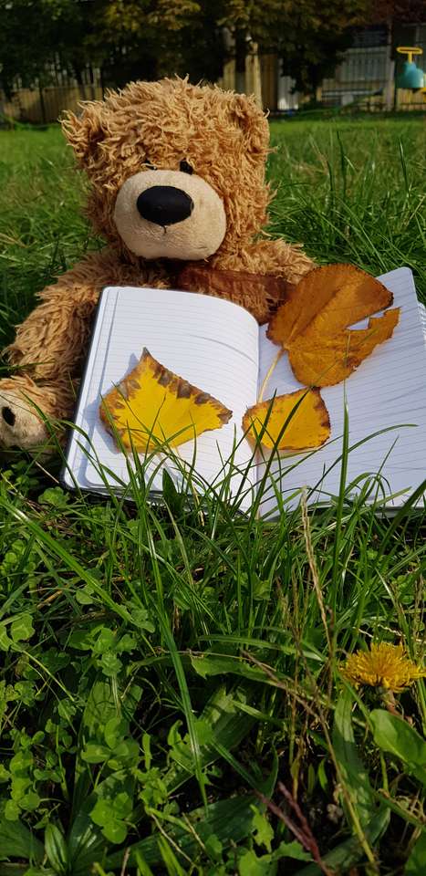 Der Teddybär im Gras Puzzlespiel online