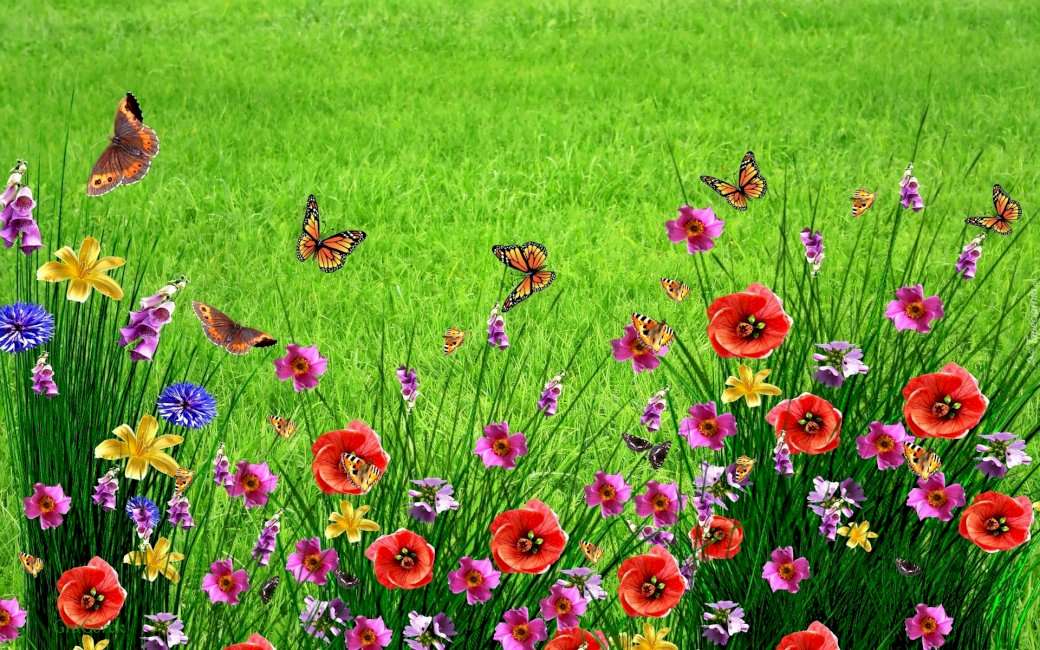 meadow flowers online puzzle