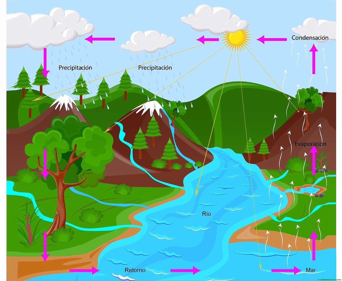 The water cycle jigsaw puzzle online