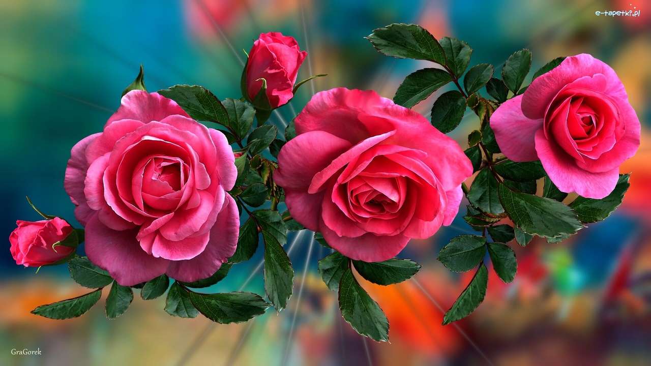 розови рози онлайн пъзел