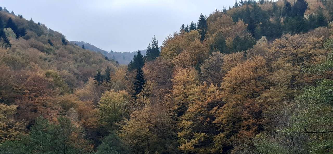 Podzim v horách online puzzle