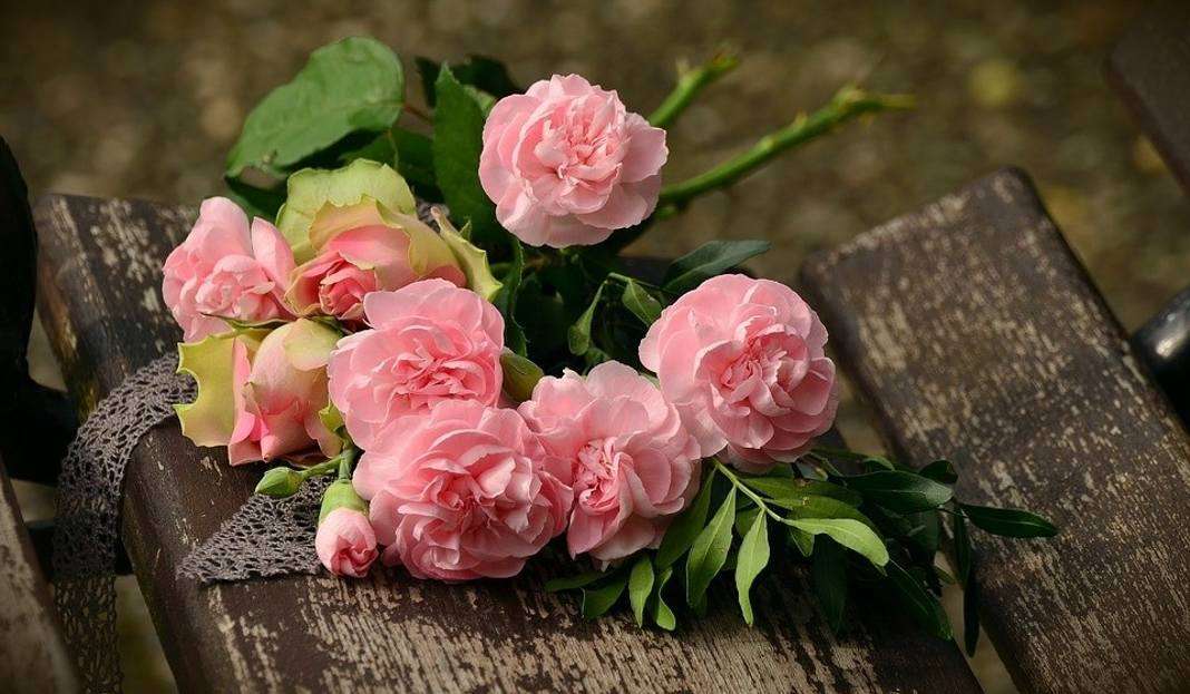 розовые цветы пазл онлайн