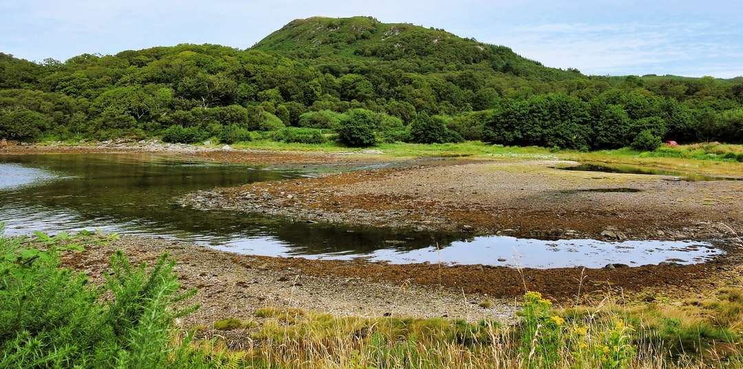 câmp de iarbă verde lângă lac în timpul zilei puzzle online