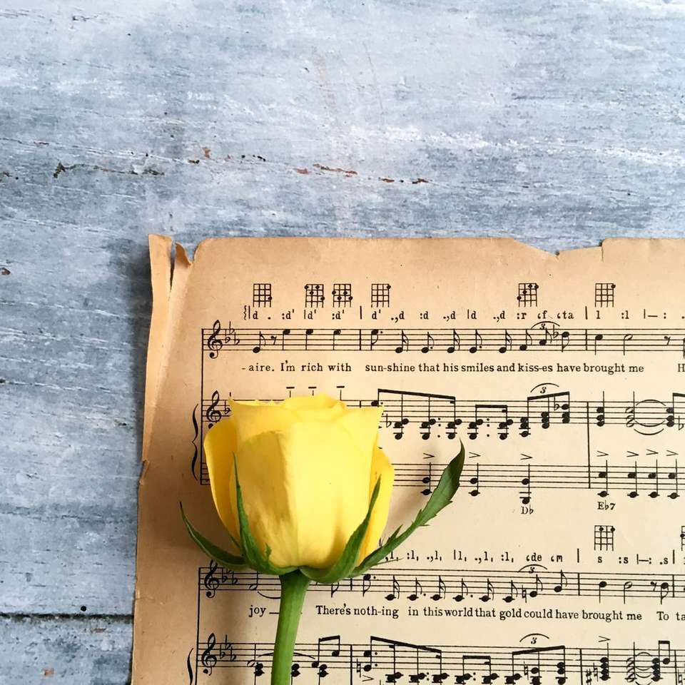 κίτρινο τριαντάφυλλο σε φύλλο μουσικής online παζλ