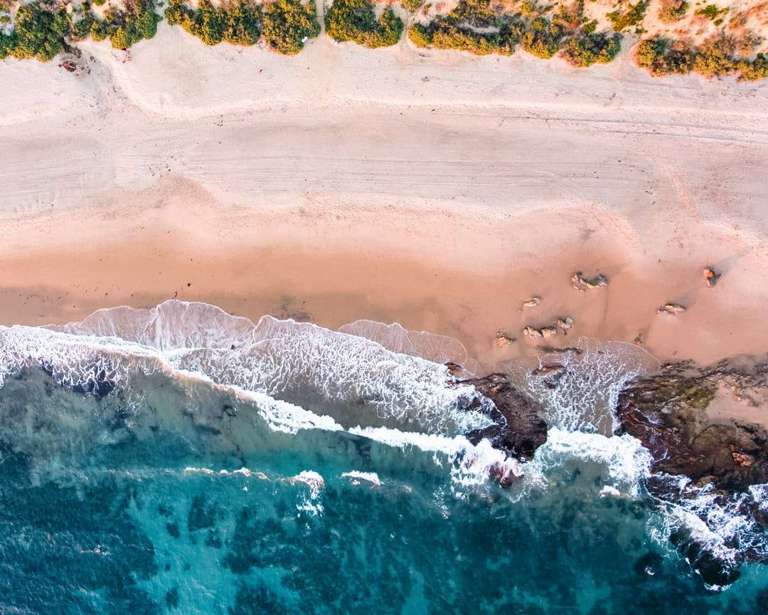 photographie vue de dessus de la plage pendant la journée puzzle en ligne