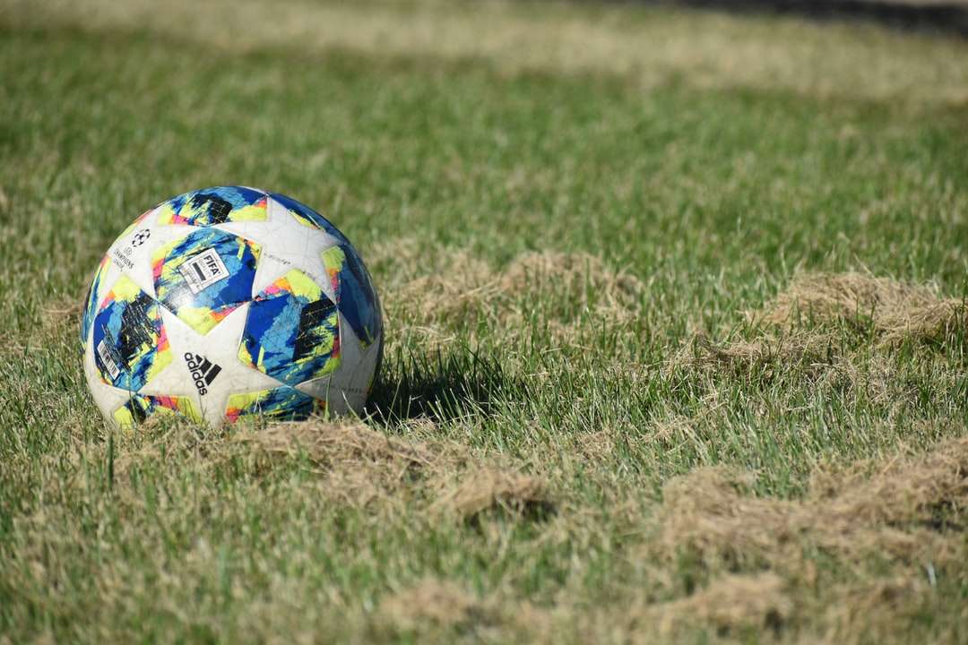 Balón de fútbol azul, blanco y rojo en el campo de hierba verde rompecabezas en línea