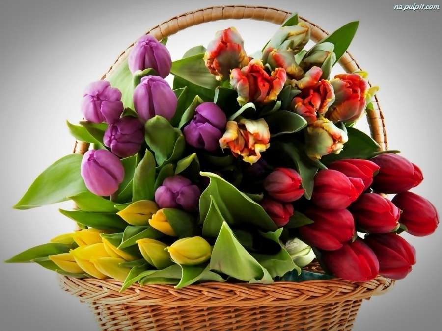 různobarevné tulipány v košíku online puzzle