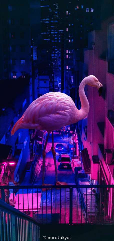 A városban egy flamingó ül a kerítésen kirakós online