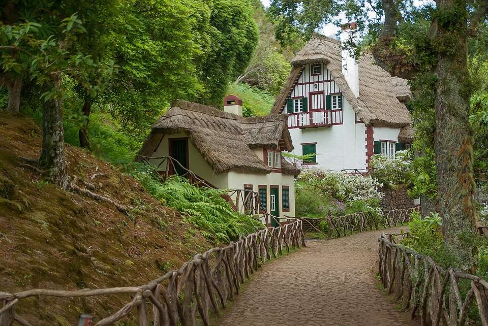 huis met rieten dak in het bos online puzzel
