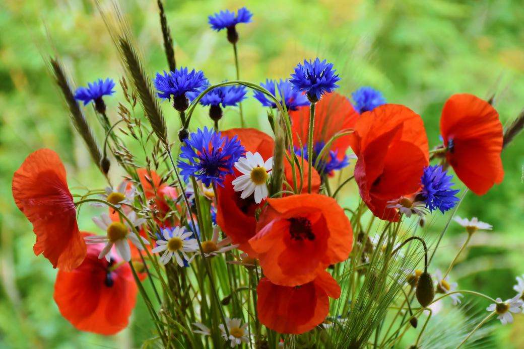 kytice divokých květů skládačky online