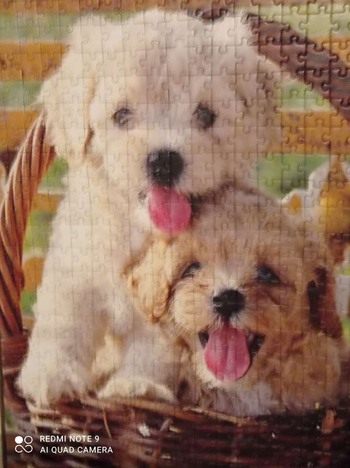 Puzzle di cane fatto di puzzle. puzzle online