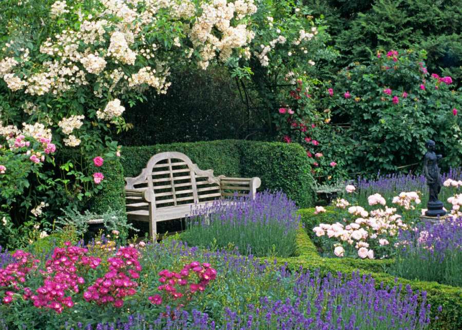 уединение в градината с цветя онлайн пъзел