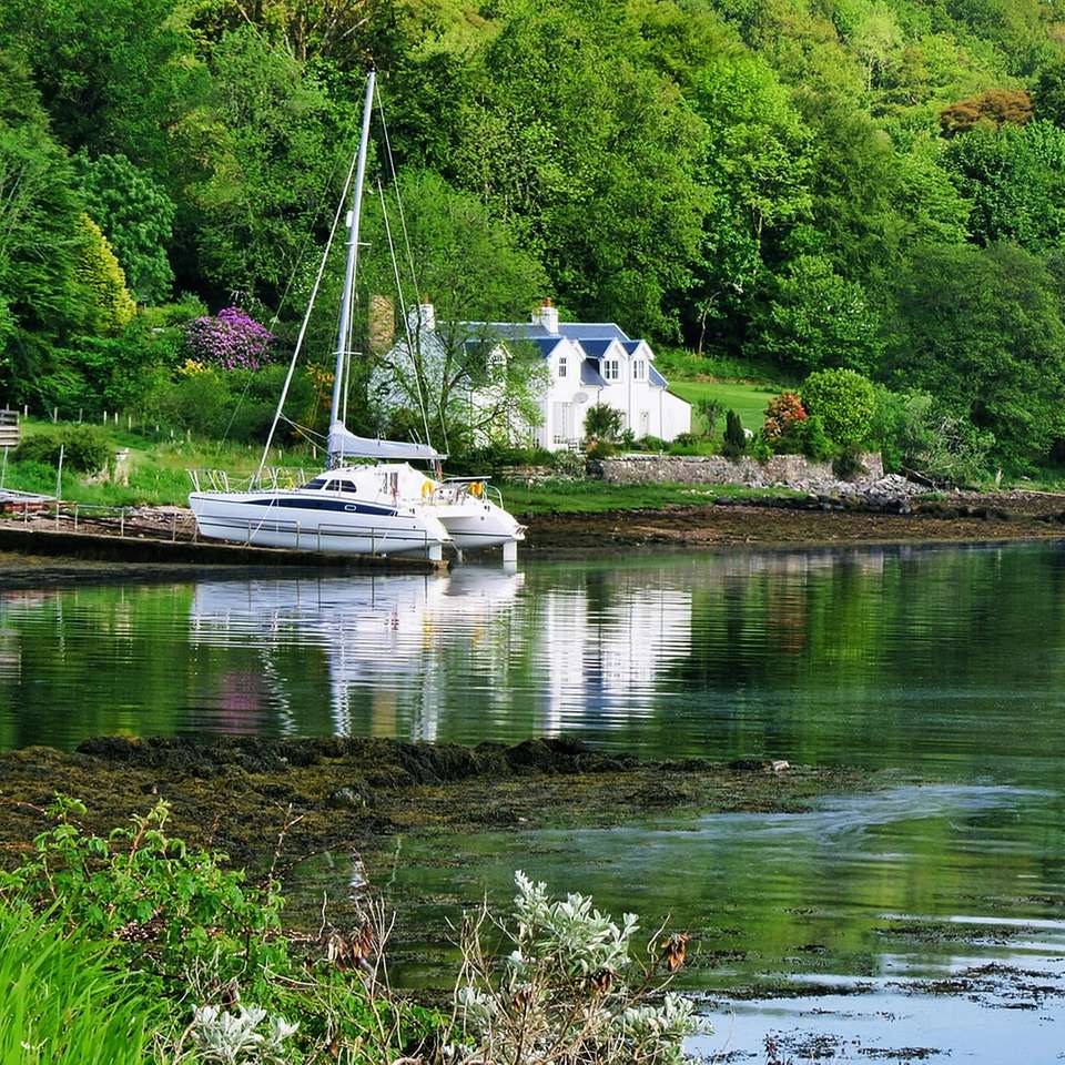 barca albă pe râu lângă copaci verzi în timpul zilei puzzle online