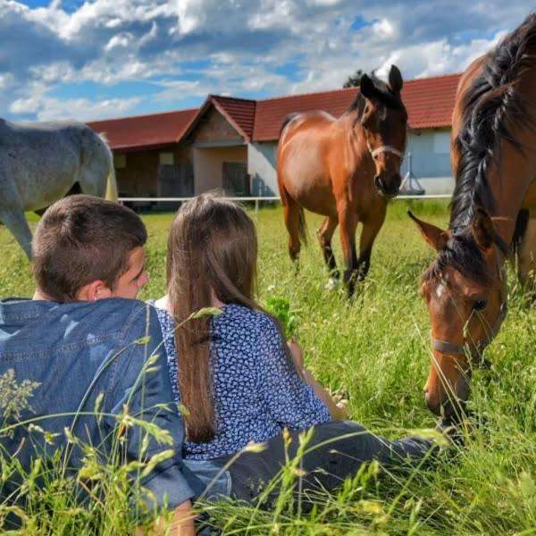 на поляната сред пасещи коне онлайн пъзел