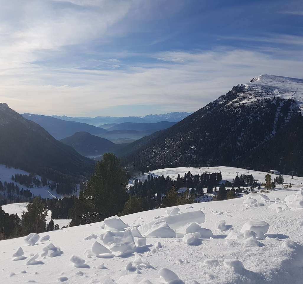 grüne Kiefern auf schneebedecktem Boden nahe Berg Online-Puzzle