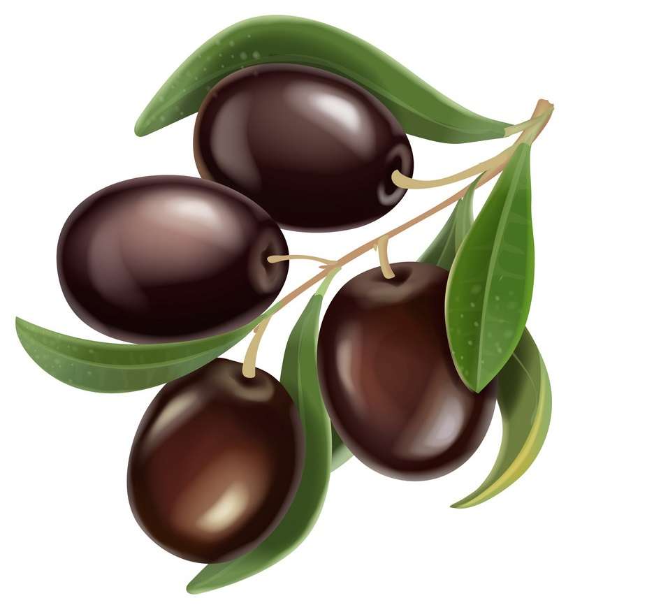 Olivová ratolest skládačky online