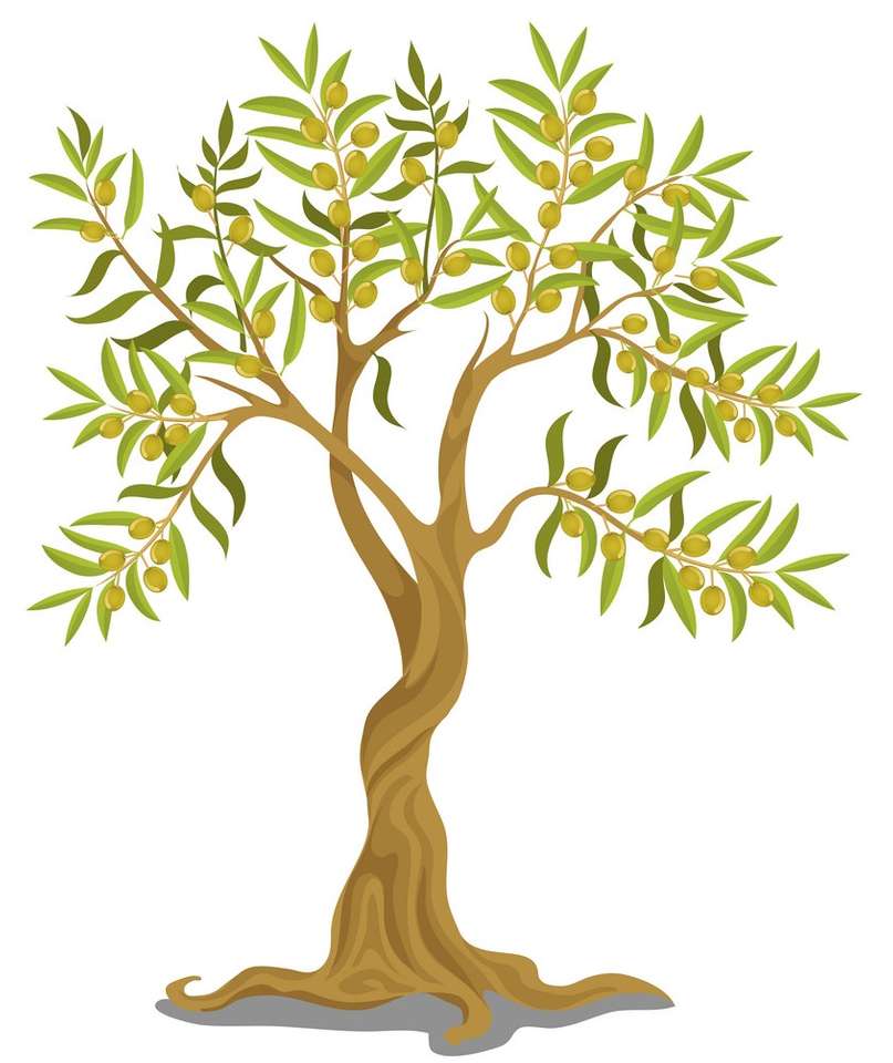 Δέντρο Ελιάς online παζλ