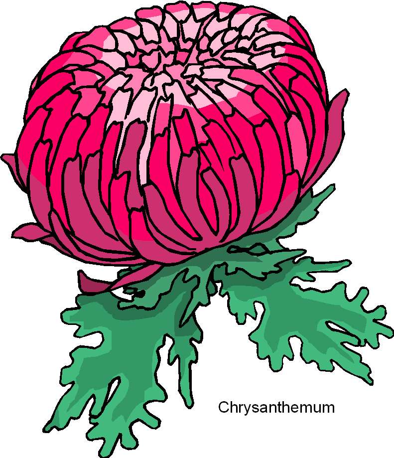 Puzzel - Chrysanthemum online puzzel