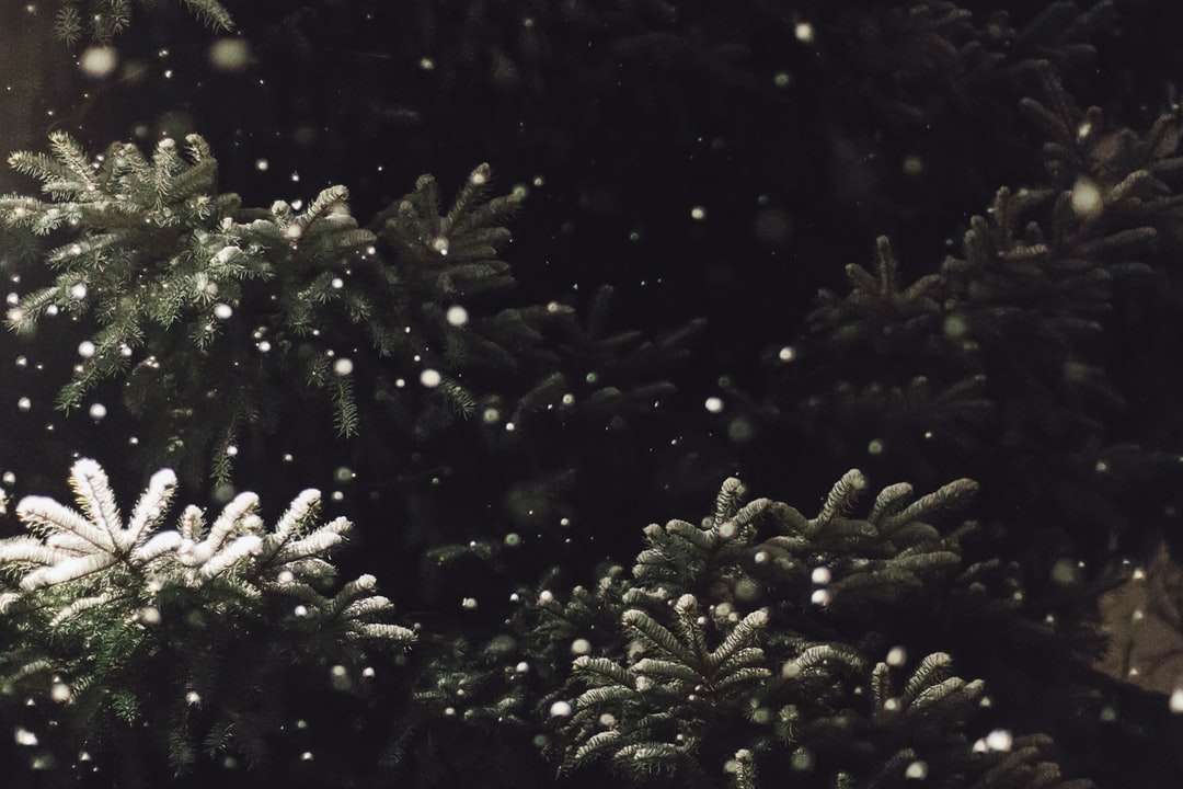 neve cair na árvore puzzle online
