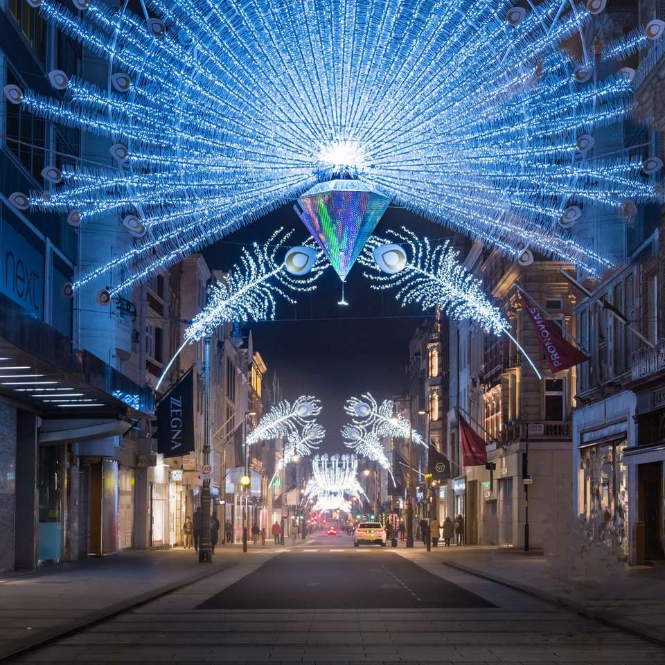 blå och vita strängljus på gatan Pussel online