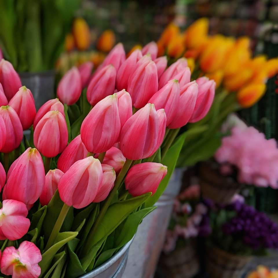 rózsaszín tulipán kirakós online