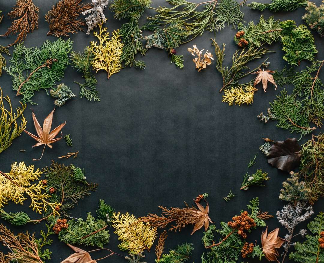 foglie assortite su tessuto nero puzzle online