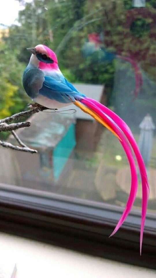 färgglad liten fågel pussel på nätet