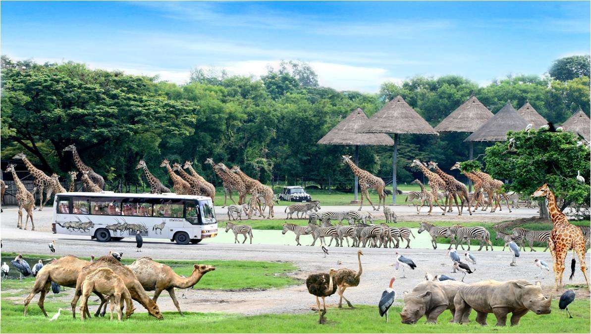wereld safari in thailand online puzzel